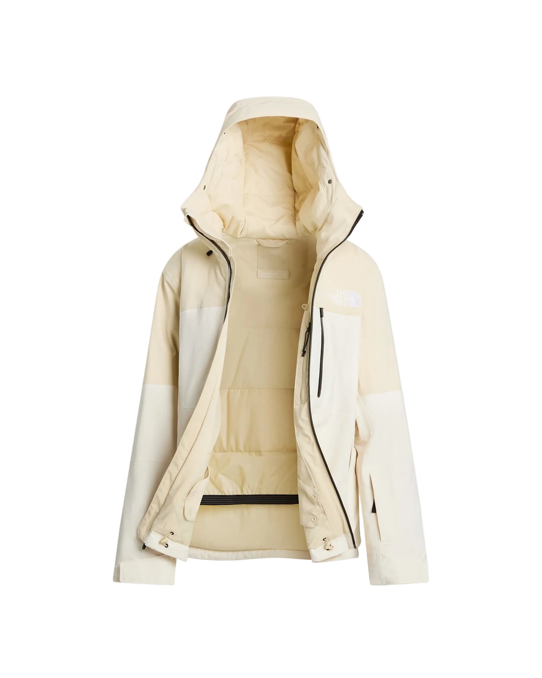 The North Face Women's Freedom Insulated Ski & Snowboard Jacket
