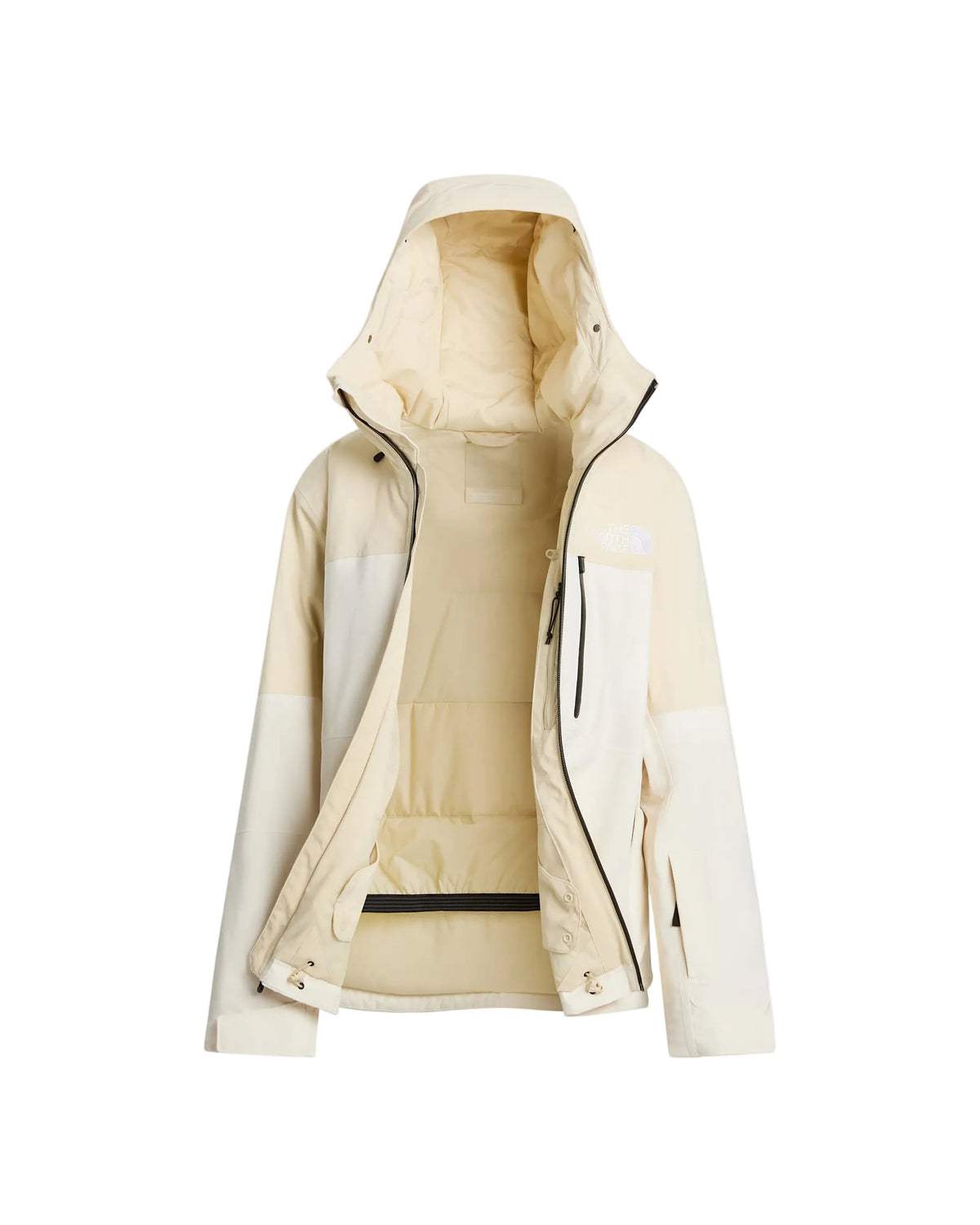 The North Face Women's Freedom Insulated Ski & Snowboard Jacket
