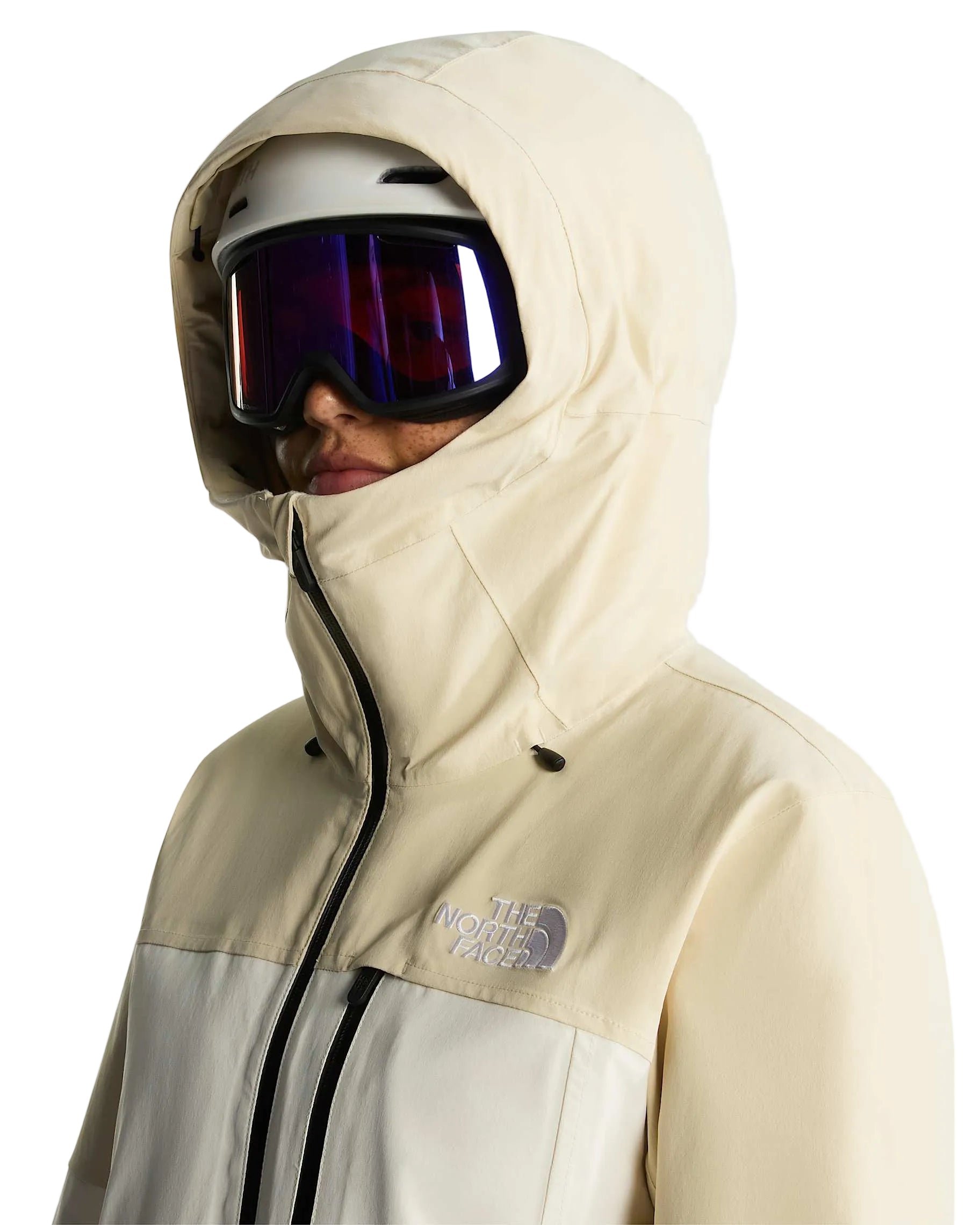 The North Face Women's Freedom Insulated Ski & Snowboard Jacket