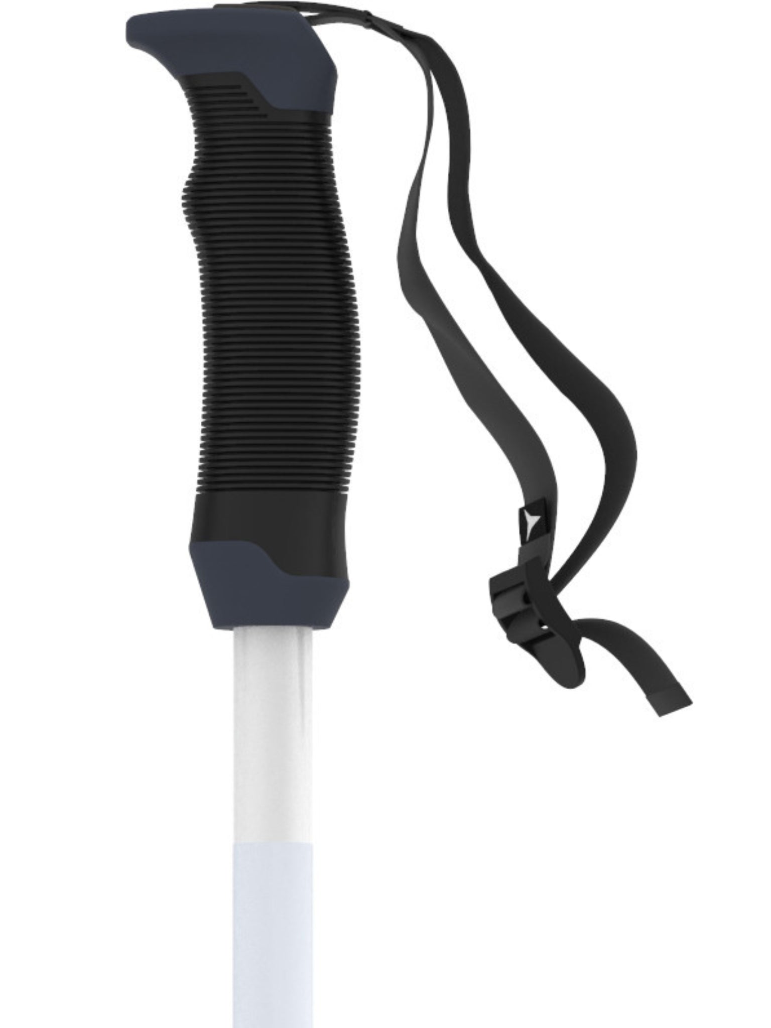 AMT SQS W Ski Poles 2026