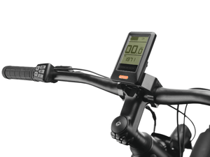 Adventure Neo Allroad Speed - Suburban Ski and Bike