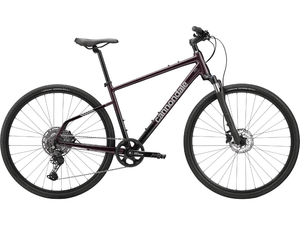 Quick CX 2 - Suburban Ski and Bike