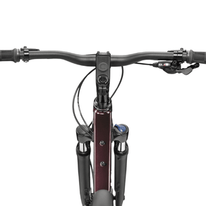 Quick CX 2 - Suburban Ski and Bike