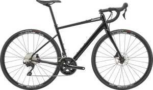 Synapse 1 - Suburban Ski and Bike