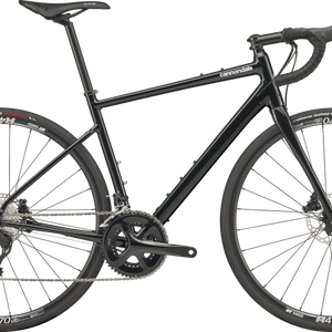 Synapse 1 - Suburban Ski and Bike