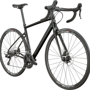 Synapse 1 - Suburban Ski and Bike