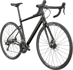 Synapse 1 - Suburban Ski and Bike