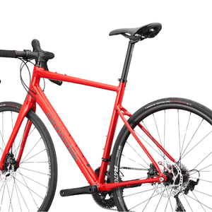 Synapse 1 - Suburban Ski and Bike