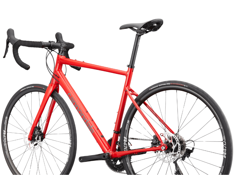 Synapse 1 - Suburban Ski and Bike