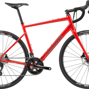 Synapse 1 - Suburban Ski and Bike