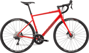 Synapse 1 - Suburban Ski and Bike