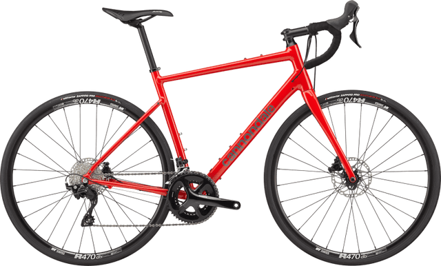 Synapse 1 - Suburban Ski and Bike
