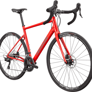 Synapse 1 - Suburban Ski and Bike