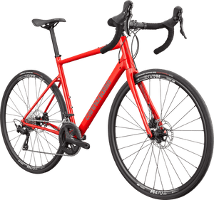 Synapse 1 - Suburban Ski and Bike