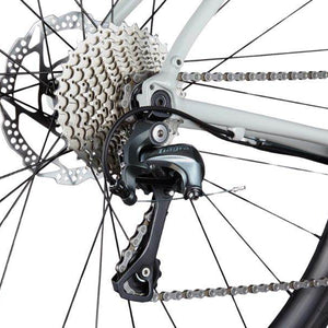 Synapse 2 - Suburban Ski and Bike