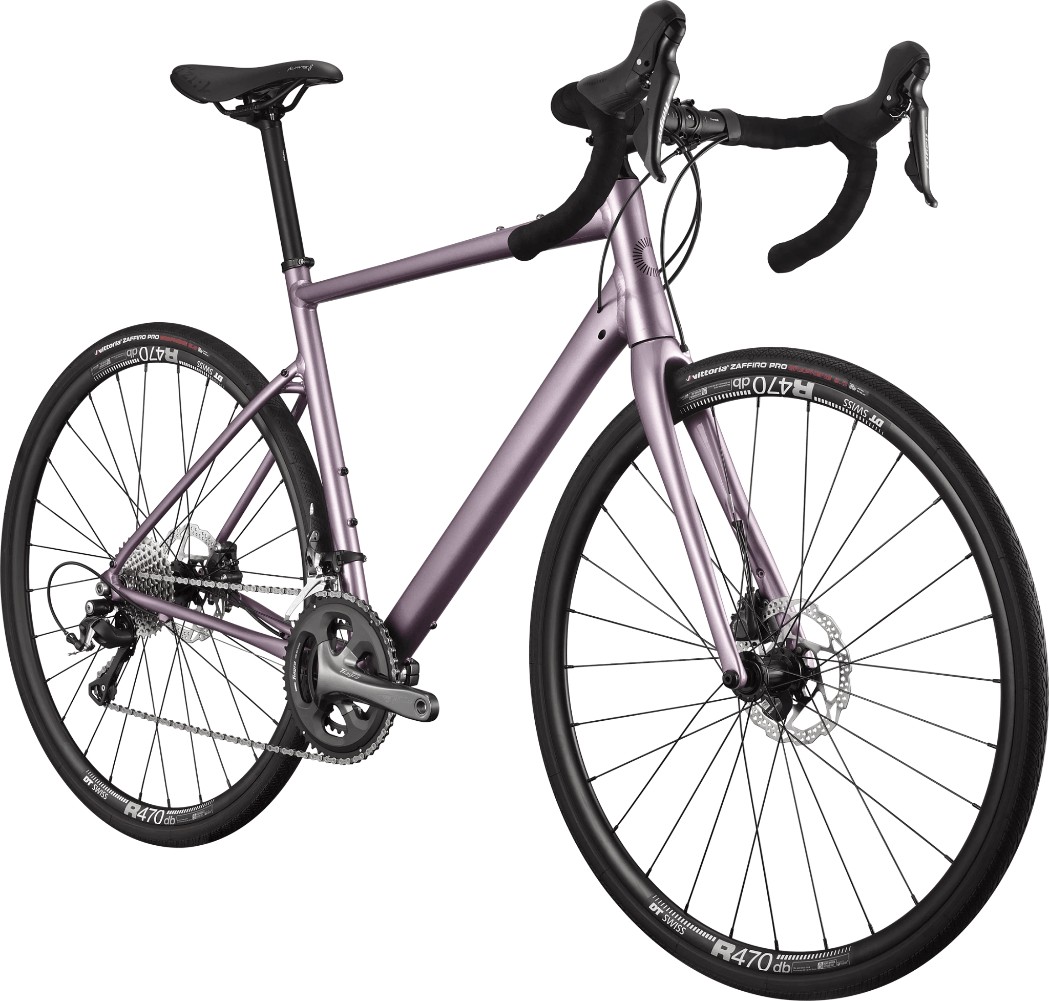 Synapse 2 - Suburban Ski and Bike