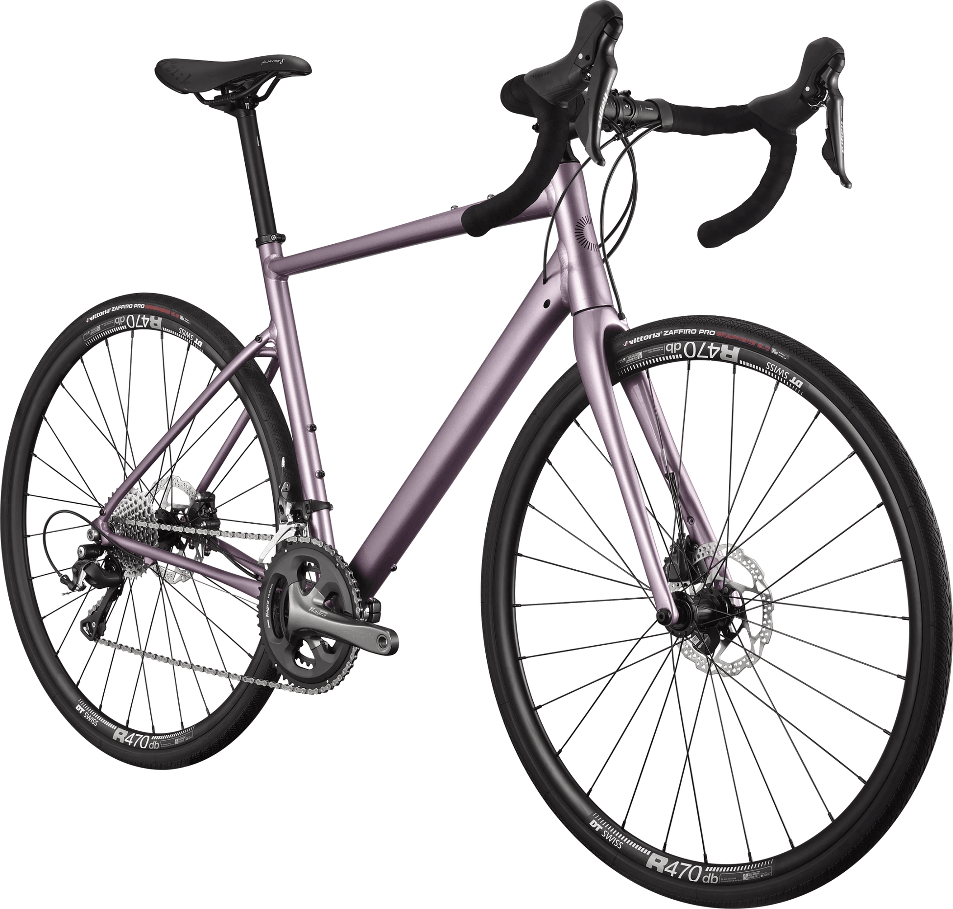 Synapse 2 - Suburban Ski and Bike