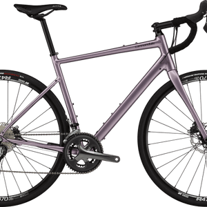 Synapse 2 - Suburban Ski and Bike