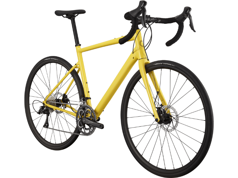 Synapse 3 - Suburban Ski and Bike