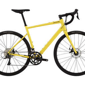 Synapse 3 - Suburban Ski and Bike