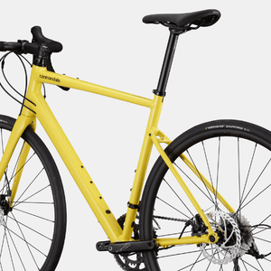 Synapse 3 - Suburban Ski and Bike