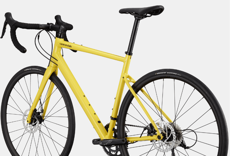 Synapse 3 - Suburban Ski and Bike
