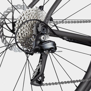 Synapse 3 - Suburban Ski and Bike