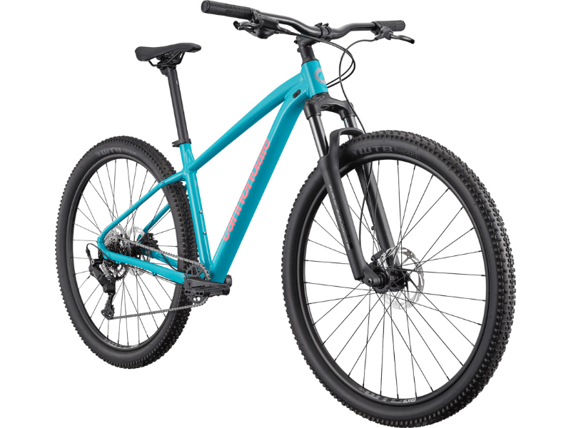 Trail 2 - Suburban Ski and Bike