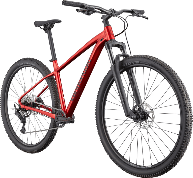 Trail 2 - Suburban Ski and Bike