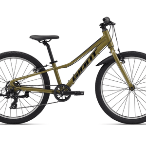 Talon 24 Lite - Dried Herb - Suburban Ski and Bike