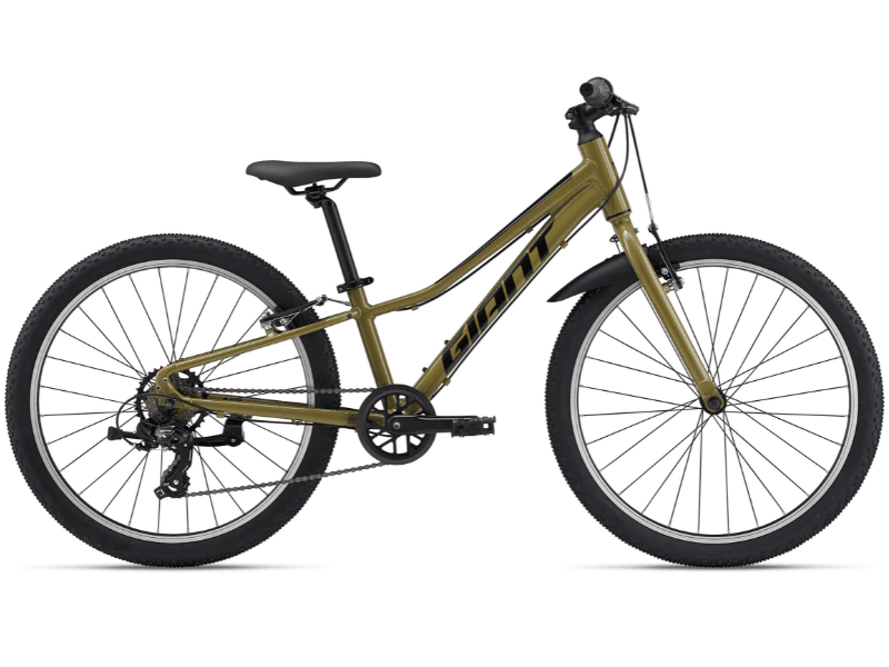 Talon 24 Lite - Dried Herb - Suburban Ski and Bike