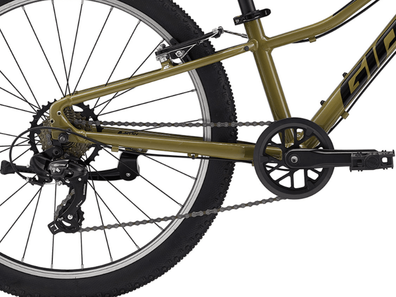 Talon 24 Lite - Dried Herb - Suburban Ski and Bike
