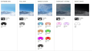 Axis Goggle - Suburban Ski and Bike