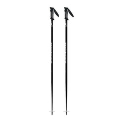 Vector Ski Pole