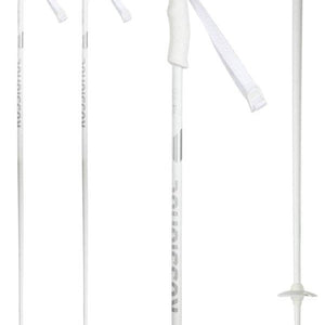 Electra Pole - Suburban Ski and Bike