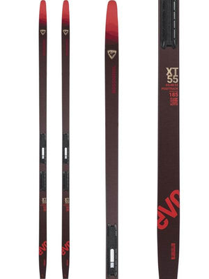 Evo XT 55 2024 - Suburban Ski and Bike