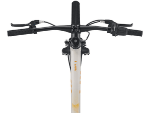 Tempt 24 Lite - Suburban Ski and Bike