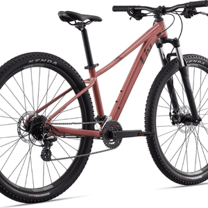 Tempt 4 - Suburban Ski and Bike