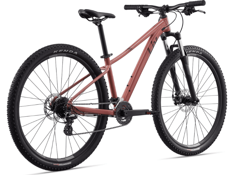 Tempt 4 - Suburban Ski and Bike
