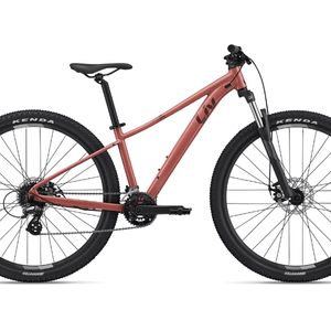Tempt 4 - Suburban Ski and Bike