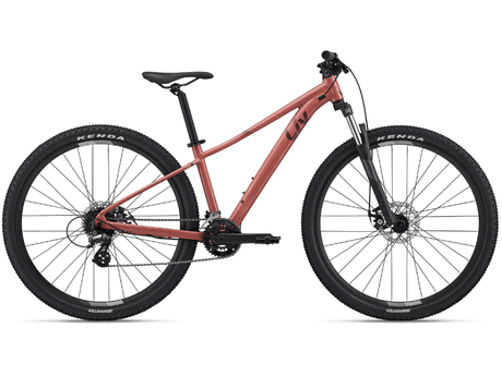 Tempt 4 - Suburban Ski and Bike