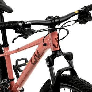 Tempt 4 - Suburban Ski and Bike
