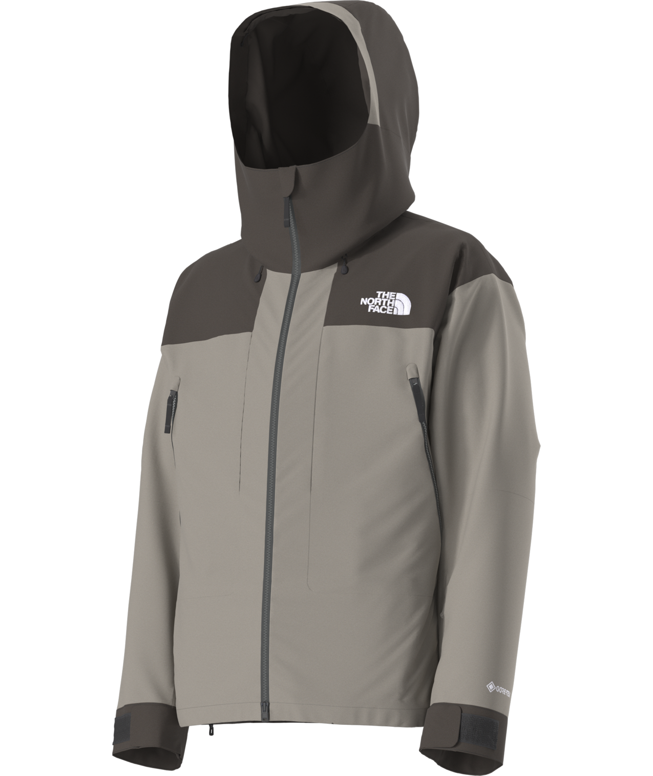 The North Face Men's GTX Hex Ski & Snowboard Jacket