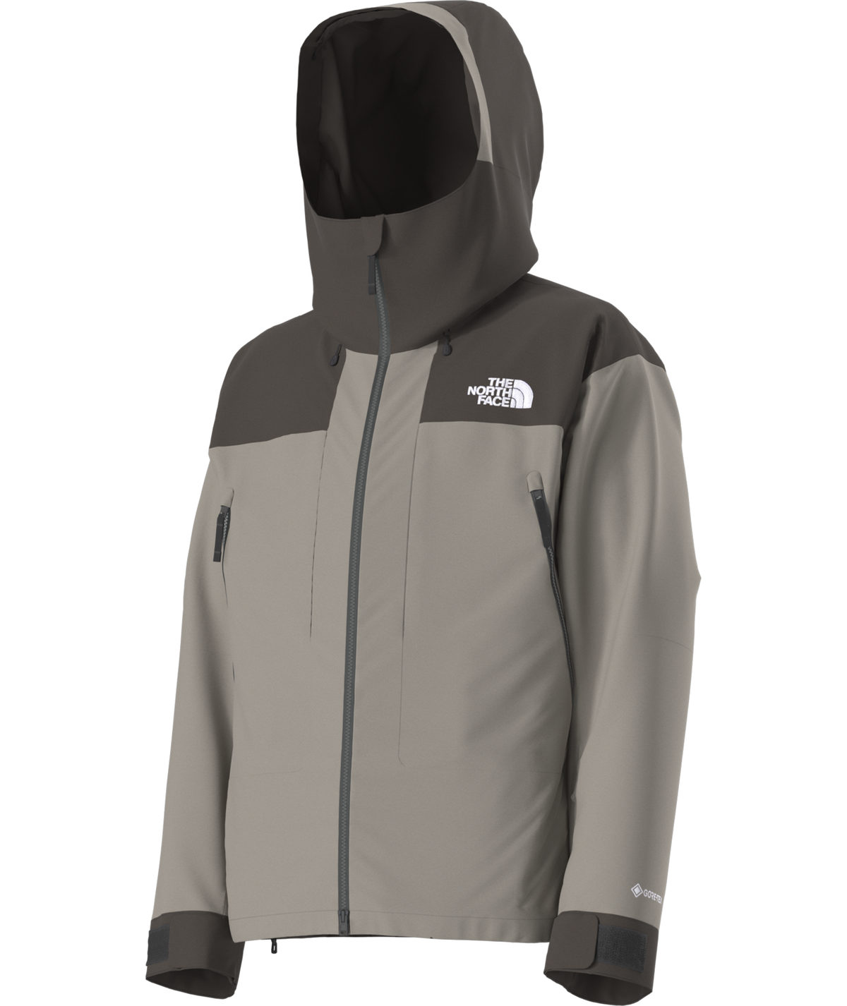 The North Face Men's GTX Hex Ski & Snowboard Jacket