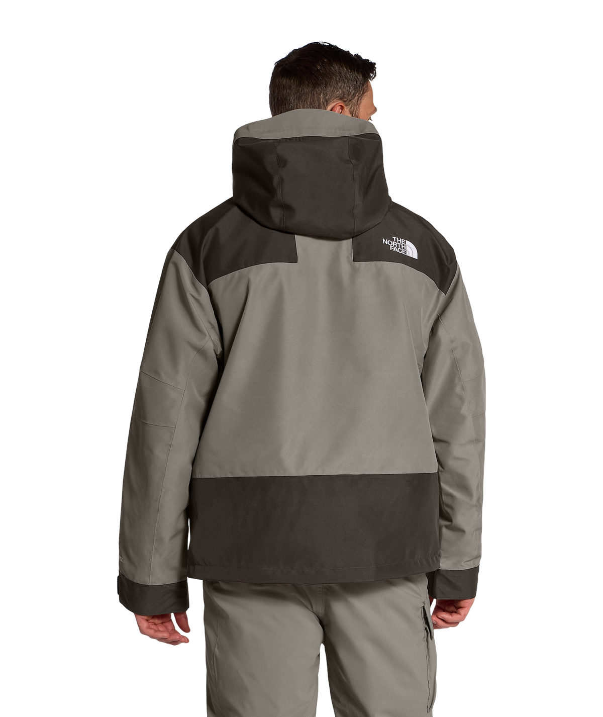 The North Face Men's GTX Hex Ski & Snowboard Jacket