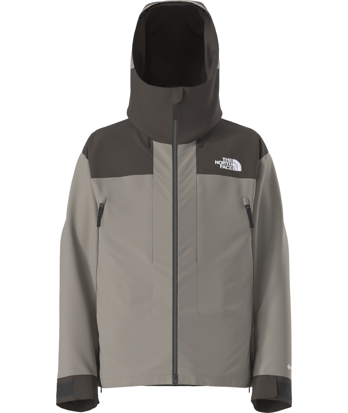 The North Face Men's GTX Hex Ski & Snowboard Jacket