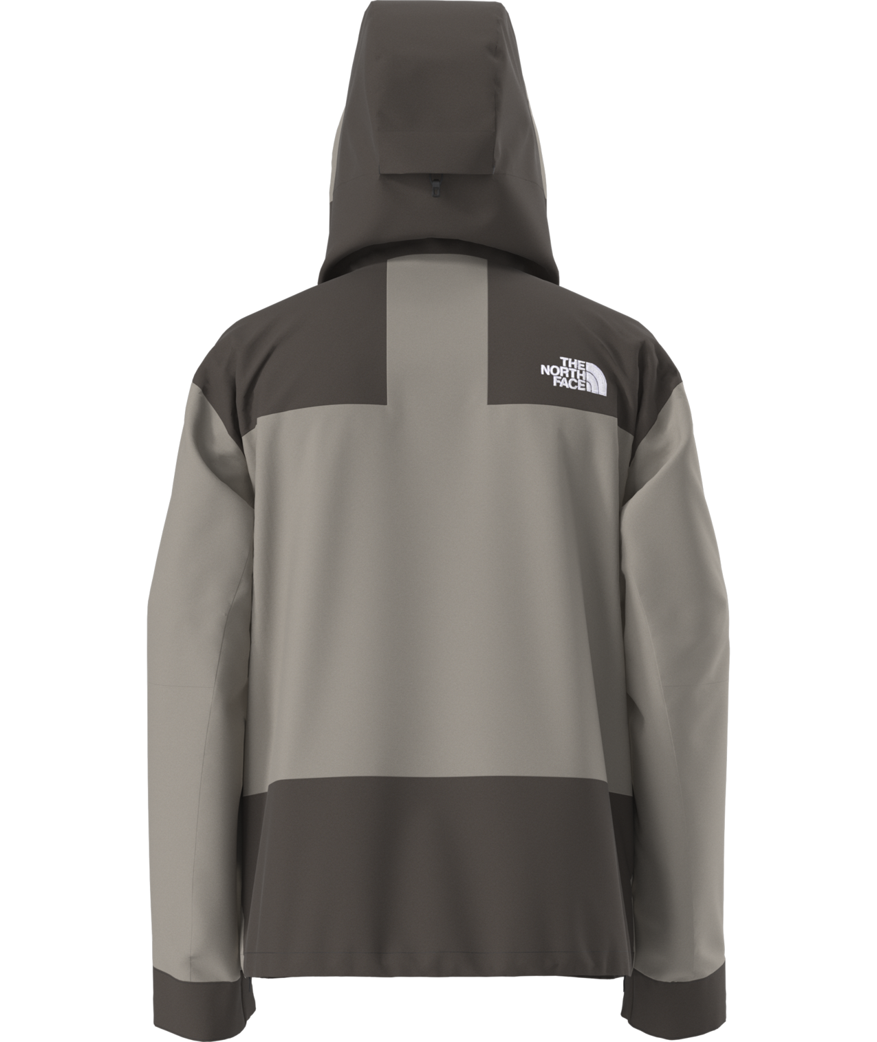 The North Face Men's GTX Hex Ski & Snowboard Jacket