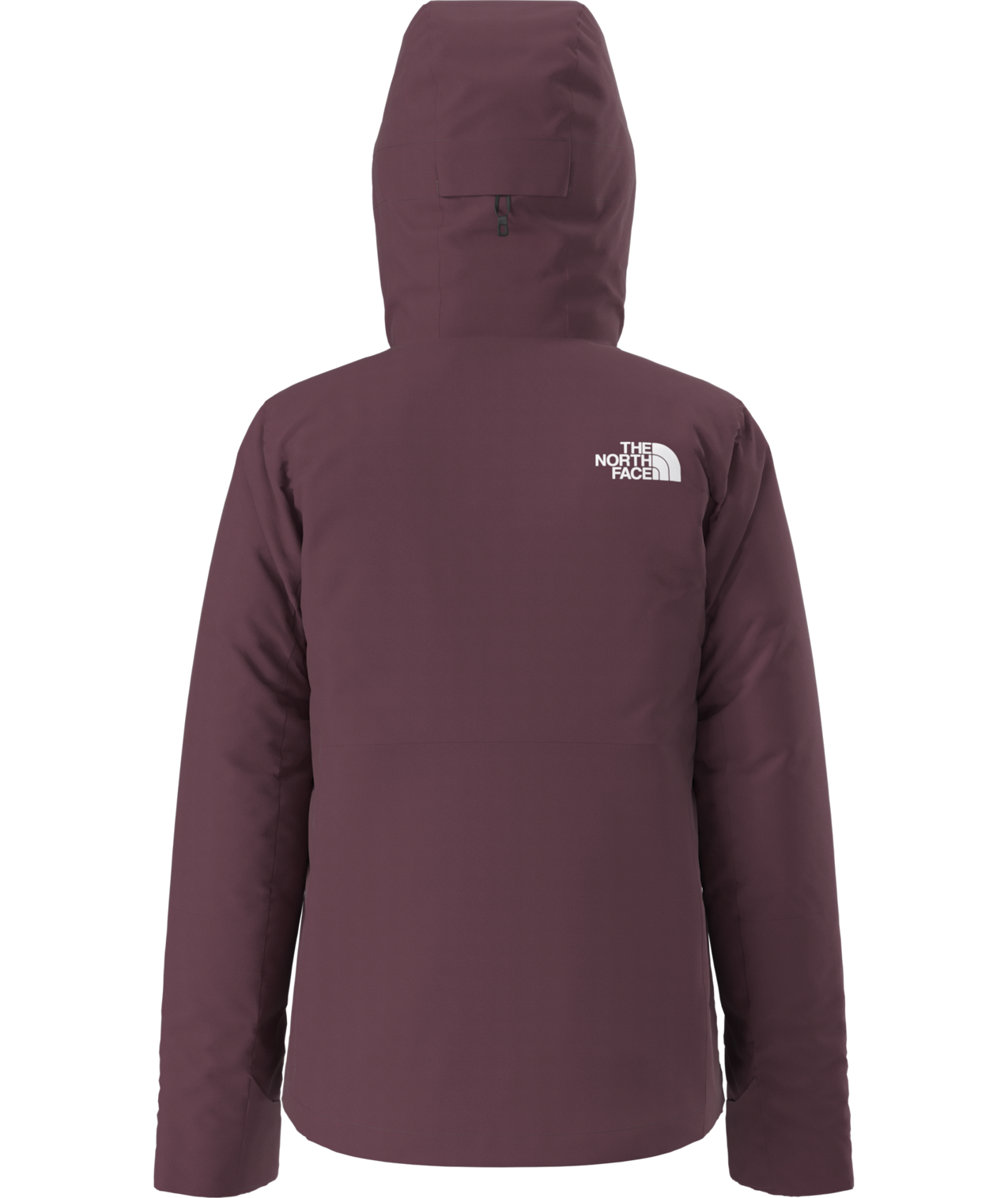 The North Face Women's Descendit Ski & Snowboard Insulated Jacket
