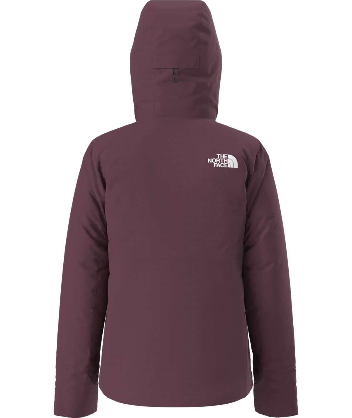 The North Face Women's Descendit Ski & Snowboard Insulated Jacket