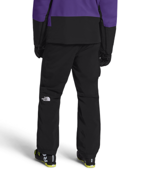 The North Face Men's Freedom Insulated Ski & Snowboard Pants
